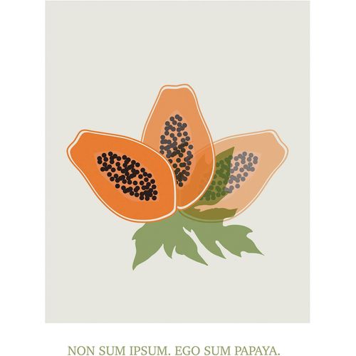 4055065176999 - Bild KOMAR Cultivated Papaya orange (farbe bild(er) orange) B40cm H50cm Papier Holz Bilder Wandbild zur Dekoration - ohne Rahmen 4055065176999 - Bild KOMAR Cultivated Papaya orange (farbe bild(er) orange) B40cm H50cm Papier Holz Bilder Wandbild zur Dekoration - ohne Rahmen