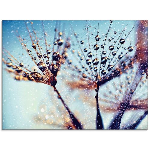 4058661711830 - Glasbild ARTLAND Pusteblume Regen abstrakt Bilder Gr B H 60 cm x 45 cm Glasbild Blumen Querformat 1 St blau Bild Glasbild Glasbilder Bilder in verschiedenen Größen 4058661711830 - Glasbild ARTLAND Pusteblume Regen abstrakt Bilder Gr B H 60 cm x 45 cm Glasbild Blumen Querformat 1 St blau Bild Glasbild Glasbilder Bilder in verschiedenen Größen