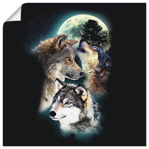4059745973403 - Wandbild ARTLAND Phantasie Wolf Wölfe mit Mond Bilder Gr B H 50 cm x 50 cm Poster Wildtiere quadratisch 1 St schwarz Bild Poster Bilder als Alubild Leinwandbild Wandaufkleber oder in versch Größen 4059745973403 - Wandbild ARTLAND Phantasie Wolf Wölfe mit Mond Bilder Gr B H 50 cm x 50 cm Poster Wildtiere quadratisch 1 St schwarz Bild Poster Bilder als Alubild Leinwandbild Wandaufkleber oder in versch Größen