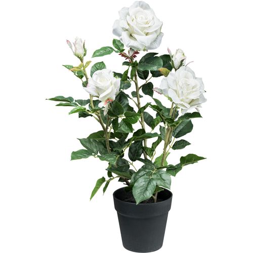 4064118181378 - Kunstblume CREATIV GREEN Rosenbusch weiß H58cm Kunstpflanzen mit 3 Blüten und 2 Knospen 4064118181378 - Kunstblume CREATIV GREEN Rosenbusch weiß H58cm Kunstpflanzen mit 3 Blüten und 2 Knospen
