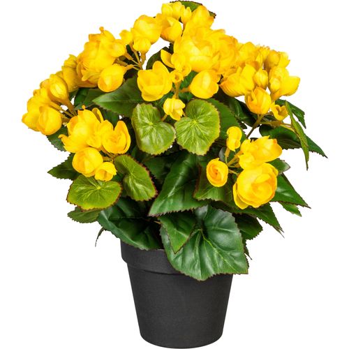 4064118841159 - Kunstpflanze Eleonore gelb B18cm H35cm Obermaterial 50% Kunststoff 50% Polyester Kunstpflanzen Künstliche Zimmerpflanze im Topf 4064118841159 - Kunstpflanze Eleonore gelb B18cm H35cm Obermaterial 50% Kunststoff 50% Polyester Kunstpflanzen Künstliche Zimmerpflanze im Topf