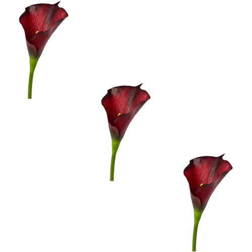 4064118117551 - Kunstblume CREATIV GREEN Calla rot (bordeaux) H55cm Obermaterial 100% Polyethylen Kunstpflanzen 4064118117551 - Kunstblume CREATIV GREEN Calla rot (bordeaux) H55cm Obermaterial 100% Polyethylen Kunstpflanzen