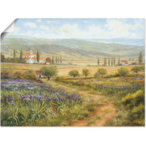4055327292658 - Wandbild ARTLAND Provence Bilder Gr B H 80 cm x 60 cm Poster Bilder von Europa Querformat 1 St grün Kunstdrucke als Alubild Leinwandbild Wandaufkleber oder Poster in versch Größen 4055327292658 - Wandbild ARTLAND Provence Bilder Gr B H 80 cm x 60 cm Poster Bilder von Europa Querformat 1 St grün Kunstdrucke als Alubild Leinwandbild Wandaufkleber oder Poster in versch Größen