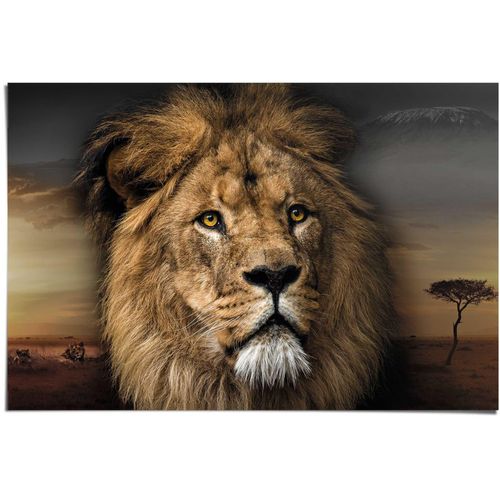 8714597555592 - Poster REINDERS Löwenkopf grün (farbe bild(er) khaki) B915cm H61cm Papier Bilder 8714597555592 - Poster REINDERS Löwenkopf grün (farbe bild(er) khaki) B915cm H61cm Papier Bilder