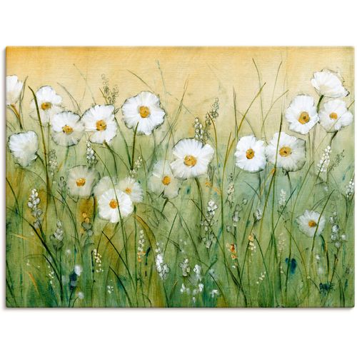 4058661359889 - Wandbild ARTLAND Gänseblümchenfrühling II Bilder Gr B H 40 cm x 30 cm Leinwandbild Blumen Querformat 1 St grün Bild Metallbild Metallbilder Bilder als Alubild Leinwandbild Wandaufkleber oder Poster in versch Größen 4058661359889 - Wandbild ARTLAND Gänseblümchenfrühling II Bilder Gr B H 40 cm x 30 cm Leinwandbild Blumen Querformat 1 St grün Bild Metallbild Metallbilder Bilder als Alubild Leinwandbild Wandaufkleber oder Poster in versch Größen