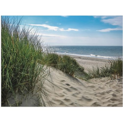4059745664837 - Wandbild ARTLAND Dünenlandschaft im Sommer an der Nordsee Bilder Gr B H 40 cm x 30 cm Alu-Dibond-Druck Strand 1 St grün Bild Kunstdruck Kunstdrucke Bilder als Alubild Leinwandbild Wandaufkleber oder Poster in versch Größen 4059745664837 - Wandbild ARTLAND Dünenlandschaft im Sommer an der Nordsee Bilder Gr B H 40 cm x 30 cm Alu-Dibond-Druck Strand 1 St grün Bild Kunstdruck Kunstdrucke Bilder als Alubild Leinwandbild Wandaufkleber oder Poster in versch Größen