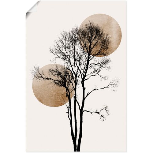 4062144778234 - Wandbild ARTLAND Sonne und Mond versteckt Bilder Gr B H 40 cm x 60 cm Poster Baumbilder Hochformat 1 St grau Kunstdrucke als Alubild Leinwandbild Wandaufkleber oder Poster in versch Größen 4062144778234 - Wandbild ARTLAND Sonne und Mond versteckt Bilder Gr B H 40 cm x 60 cm Poster Baumbilder Hochformat 1 St grau Kunstdrucke als Alubild Leinwandbild Wandaufkleber oder Poster in versch Größen