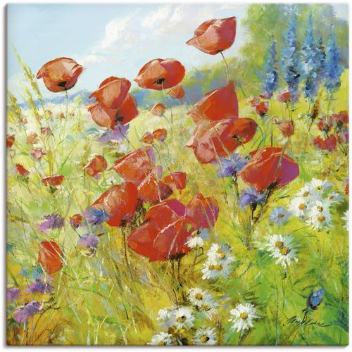 4055327221061 - Wandbild ARTLAND Sommerwiese mit Mohnblumen Bilder Gr B H 40 cm x 40 cm Leinwandbild Blumenwiese 1 St bunt Bild Poster Bilder als Alubild Leinwandbild Wandaufkleber oder in versch Größen 4055327221061 - Wandbild ARTLAND Sommerwiese mit Mohnblumen Bilder Gr B H 40 cm x 40 cm Leinwandbild Blumenwiese 1 St bunt Bild Poster Bilder als Alubild Leinwandbild Wandaufkleber oder in versch Größen