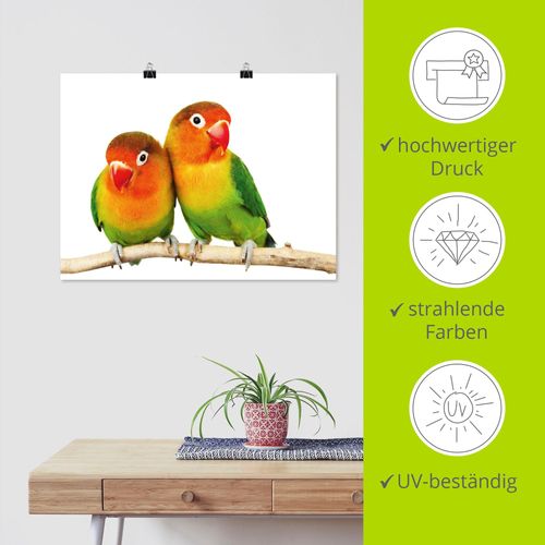 4055327636056 - Wandbild ARTLAND Paar von Grauköpfchen - Papageien Bilder Gr B H 40 cm x 30 cm Poster Vögel Querformat 1 St bunt Bild Metallbild Metallbilder Bilder als Alubild Leinwandbild Wandaufkleber oder Poster in versch Größen 4055327636056 - Wandbild ARTLAND Paar von Grauköpfchen - Papageien Bilder Gr B H 40 cm x 30 cm Poster Vögel Querformat 1 St bunt Bild Metallbild Metallbilder Bilder als Alubild Leinwandbild Wandaufkleber oder Poster in versch Größen