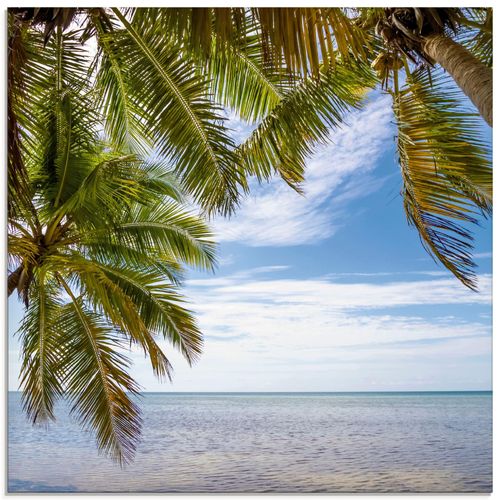 4055327324687 - Glasbild ARTLAND Florida Keys Das Meer Bilder Gr B H 50 cm x 50 cm Glasbild Bäume quadratisch 1 St blau Bild Glasbild Glasbilder Bilder in verschiedenen Größen 4055327324687 - Glasbild ARTLAND Florida Keys Das Meer Bilder Gr B H 50 cm x 50 cm Glasbild Bäume quadratisch 1 St blau Bild Glasbild Glasbilder Bilder in verschiedenen Größen