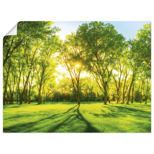 4055327787758 - Wandbild ARTLAND Frühlingswärme II grün (farbe bild(er) grün) B60cm H45cm T01cm Papier Bilder als Leinwandbild Poster Wandaufkleber in verschied Größen