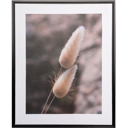 4064118317364 - Bild mit Rahmen CREATIV HOME Leinwandbild Grasblüte bunt (farbe rahmen schwarz farbe bild(er) bunt) B40cm H50cm T25cm Bilder mit Rahmen 4064118317364 - Bild mit Rahmen CREATIV HOME Leinwandbild Grasblüte bunt (farbe rahmen schwarz farbe bild(er) bunt) B40cm H50cm T25cm Bilder mit Rahmen