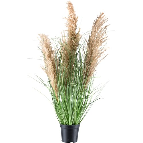 4064118241607 - Kunstgras CREATIV GREEN Schilfgras grün H75cm Kunststoff Kunstpflanzen mit täuschend echten Blüten 4064118241607 - Kunstgras CREATIV GREEN Schilfgras grün H75cm Kunststoff Kunstpflanzen mit täuschend echten Blüten
