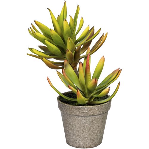 4064118137269 - Künstliche Zimmerpflanze CREATIV GREEN Deko-Sukkulente Aloe plicatilis Kunstpflanzen Gr B H L 12 cm x 30 cm x 13 cm 1 St grün Künstliche Zimmerpflanzen 4064118137269 - Künstliche Zimmerpflanze CREATIV GREEN Deko-Sukkulente Aloe plicatilis Kunstpflanzen Gr B H L 12 cm x 30 cm x 13 cm 1 St grün Künstliche Zimmerpflanzen