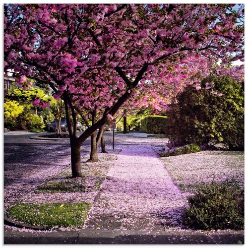 4058661331700 - Glasbild ARTLAND Fallende Blütenblätter Bilder Gr B H 50 cm x 50 cm Glasbild Bäume quadratisch 1 St pink Bild Glasbild Glasbilder Bilder in verschiedenen Größen 4058661331700 - Glasbild ARTLAND Fallende Blütenblätter Bilder Gr B H 50 cm x 50 cm Glasbild Bäume quadratisch 1 St pink Bild Glasbild Glasbilder Bilder in verschiedenen Größen