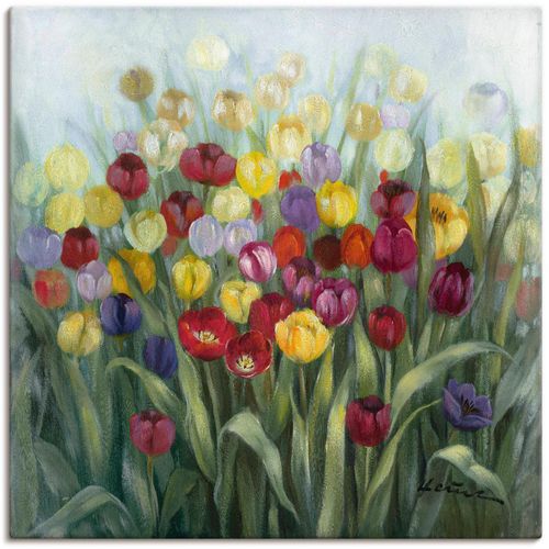 4055327294607 - Wandbild ARTLAND Tulpenwiese II Bilder Gr B H 30 cm x 30 cm Leinwandbild Blumenwiese 1 St bunt Bild Poster Bilder als Alubild Leinwandbild Wandaufkleber oder in versch Größen 4055327294607 - Wandbild ARTLAND Tulpenwiese II Bilder Gr B H 30 cm x 30 cm Leinwandbild Blumenwiese 1 St bunt Bild Poster Bilder als Alubild Leinwandbild Wandaufkleber oder in versch Größen