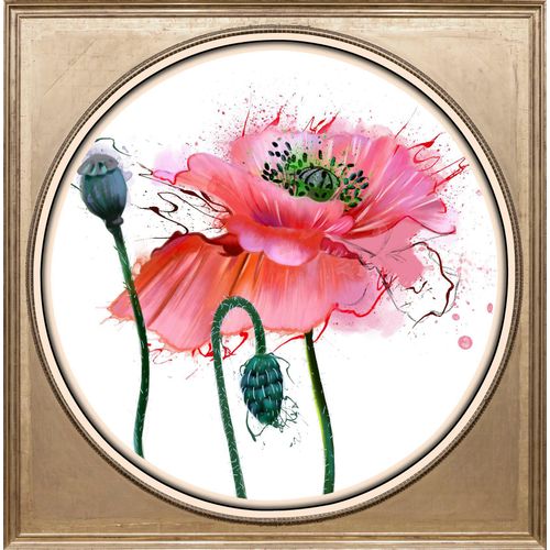 4049009363941 - Acrylglasbild QUEENCE Mohnblüte bunt (farbe bild(er) bunt) B40cm H40cm T3cm Ø5657cm Bilder Fine Art-Print in Galeriequalität 4049009363941 - Acrylglasbild QUEENCE Mohnblüte bunt (farbe bild(er) bunt) B40cm H40cm T3cm Ø5657cm Bilder Fine Art-Print in Galeriequalität