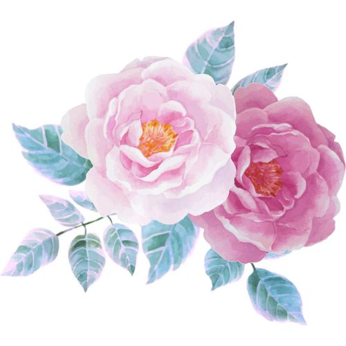 4049009858546 - Wandtattoo QUEENCE Lina rosa B70cm Folie Wandtattoos Wandbild Sticker rosa Blume Blüte selbstklebend Pastellfarben 4049009858546 - Wandtattoo QUEENCE Lina rosa B70cm Folie Wandtattoos Wandbild Sticker rosa Blume Blüte selbstklebend Pastellfarben