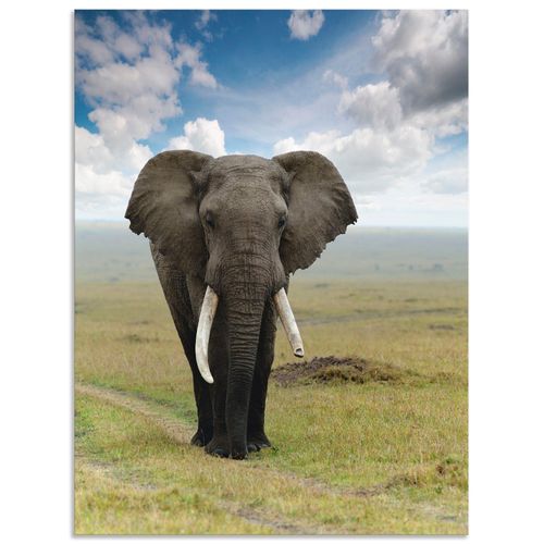 4057738377184 - Wandbild ARTLAND Elefant Bilder Gr B H 30 cm x 40 cm Alu-Dibond-Druck Wildtiere Hochformat 1 St grün Bild Poster Bilder als Alubild Leinwandbild Wandaufkleber oder in versch Größen