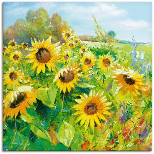 4055327221146 - Wandbild ARTLAND Sommerwiese mit Sonnenblumen Bilder Gr B H 40 cm x 40 cm Leinwandbild Blumenwiese 1 St gelb Bild Poster Bilder als Alubild Leinwandbild Wandaufkleber oder in versch Größen 4055327221146 - Wandbild ARTLAND Sommerwiese mit Sonnenblumen Bilder Gr B H 40 cm x 40 cm Leinwandbild Blumenwiese 1 St gelb Bild Poster Bilder als Alubild Leinwandbild Wandaufkleber oder in versch Größen