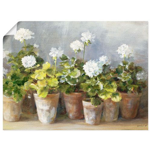 4055327747066 - Wandbild ARTLAND Weiße Geranien Bilder Gr B H 80 cm x 60 cm Poster Blumen Querformat 1 St weiß Bild Leinwandbild Kunstdrucke Bilder als Leinwandbild Wandaufkleber oder Poster in versch Größen 4055327747066 - Wandbild ARTLAND Weiße Geranien Bilder Gr B H 80 cm x 60 cm Poster Blumen Querformat 1 St weiß Bild Leinwandbild Kunstdrucke Bilder als Leinwandbild Wandaufkleber oder Poster in versch Größen