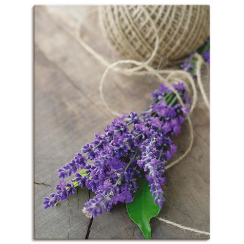 4055327987554 - Wandbild ARTLAND Lavendel Strauß Bilder Gr B H 60 cm x 80 cm Leinwandbild Blumen Hochformat 1 St lila Bild Poster Bilder als Leinwandbild Wandaufkleber oder in versch Größen 4055327987554 - Wandbild ARTLAND Lavendel Strauß Bilder Gr B H 60 cm x 80 cm Leinwandbild Blumen Hochformat 1 St lila Bild Poster Bilder als Leinwandbild Wandaufkleber oder in versch Größen