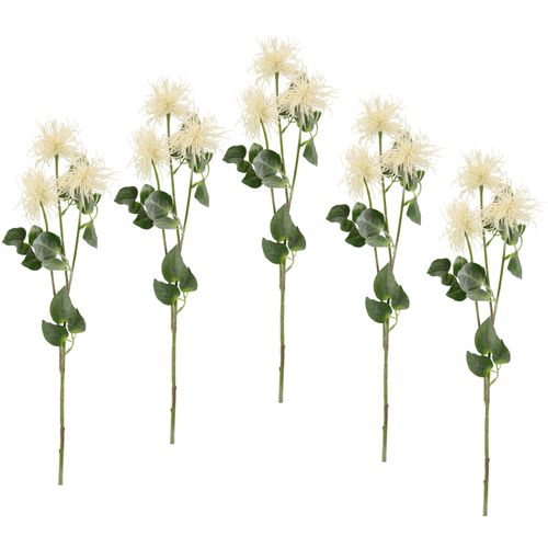 4019844782788 - Kunstblume IGEA Spinnenprotea weiß B16cm H78cm Obermaterial 60% Polyester 40% Kunststoff Kunstpflanzen 5er Set 4019844782788 - Kunstblume IGEA Spinnenprotea weiß B16cm H78cm Obermaterial 60% Polyester 40% Kunststoff Kunstpflanzen 5er Set