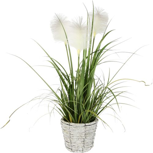 4019844795085 - Kunstpflanze IGEA Pampasgras Kunstpflanzen Gr B H L 22 cm x 80 cm x 22 cm weiß Künstliche Zimmerpflanzen Mit Übertopf künstliches Pampas Gras 4019844795085 - Kunstpflanze IGEA Pampasgras Kunstpflanzen Gr B H L 22 cm x 80 cm x 22 cm weiß Künstliche Zimmerpflanzen Mit Übertopf künstliches Pampas Gras