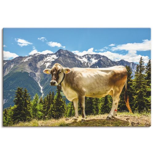4059745553957 - Wandbild ARTLAND Bergkuh in den Alpen im Sommer Bilder Gr B H 120 cm x 80 cm Leinwandbild Haustiere Querformat 1 St grün Bild Poster Bilder als Alubild Leinwandbild Wandaufkleber oder in versch Größen 4059745553957 - Wandbild ARTLAND Bergkuh in den Alpen im Sommer Bilder Gr B H 120 cm x 80 cm Leinwandbild Haustiere Querformat 1 St grün Bild Poster Bilder als Alubild Leinwandbild Wandaufkleber oder in versch Größen