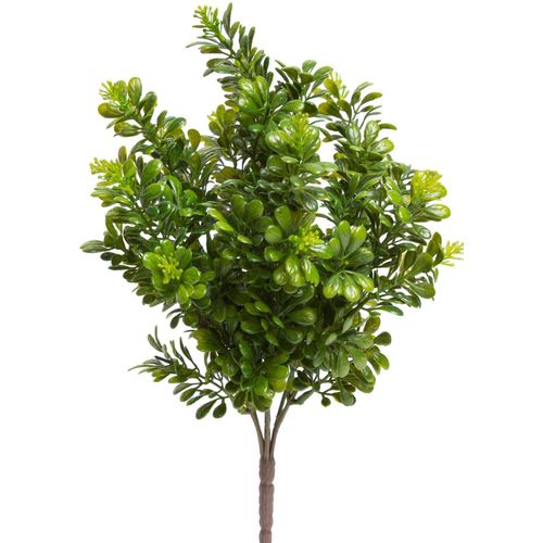 8505453140317 - Künstliche Zimmerpflanze BOTANIC-HAUS Buchsbusch mit 7 Stielen Kunstpflanzen Gr Ø H 18 cm x 32 cm grün Künstliche Zimmerpflanzen