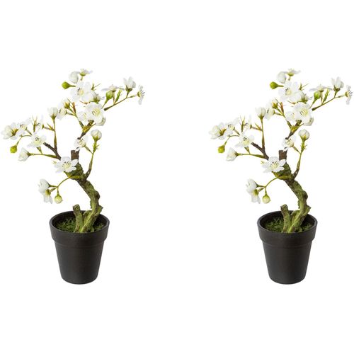 4064118141204 - Kunstblume CREATIV GREEN Mandelbonsai im Topf Kunstpflanzen Gr H 26 cm 2 St weiß Kunst-Blumen 4064118141204 - Kunstblume CREATIV GREEN Mandelbonsai im Topf Kunstpflanzen Gr H 26 cm 2 St weiß Kunst-Blumen