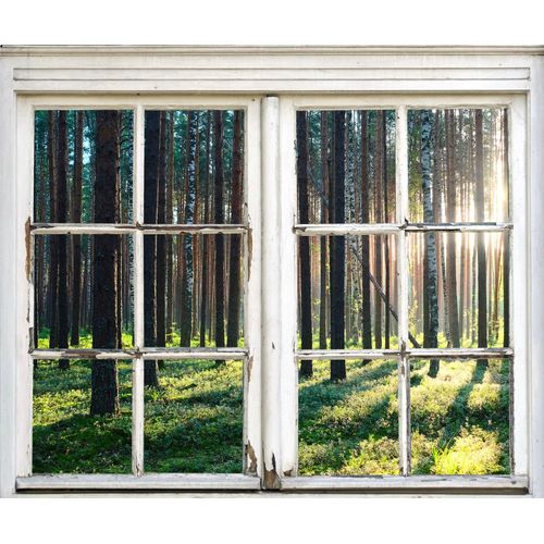 4049009056775 - Wandsticker QUEENCE Wald Wandtattoos Gr B H T 40 cm x 60 cm x 01 cm Natur beige (natur) Wandtattoos Natur 4049009056775 - Wandsticker QUEENCE Wald Wandtattoos Gr B H T 40 cm x 60 cm x 01 cm Natur beige (natur) Wandtattoos Natur