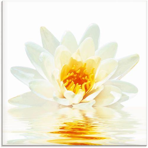 4055327035989 - Glasbild ARTLAND Lotusblume schwimmt im Wasser Bilder Gr B H 30 cm x 30 cm Blumen 1 St weiß Glasbilder Bilder in verschiedenen Größen 4055327035989 - Glasbild ARTLAND Lotusblume schwimmt im Wasser Bilder Gr B H 30 cm x 30 cm Blumen 1 St weiß Glasbilder Bilder in verschiedenen Größen