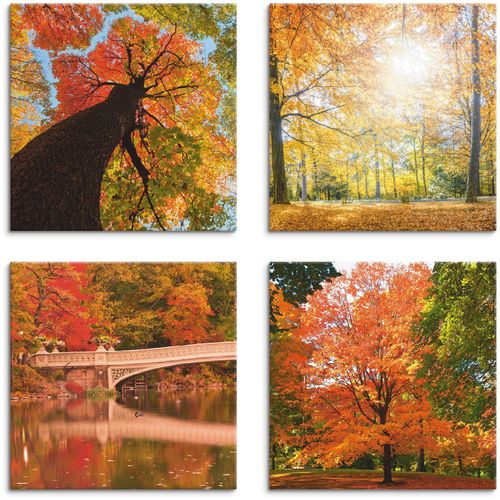 4058661252456 - Leinwandbild ARTLAND Herbst Wald Panoramas Bilder Gr B H 40 cm x 40 cm Leinwandbild Wald quadratisch 4 St orange Bild Leinwandbild Leinwandbilder Bilder 4er Set verschiedene Größen 4058661252456 - Leinwandbild ARTLAND Herbst Wald Panoramas Bilder Gr B H 40 cm x 40 cm Leinwandbild Wald quadratisch 4 St orange Bild Leinwandbild Leinwandbilder Bilder 4er Set verschiedene Größen