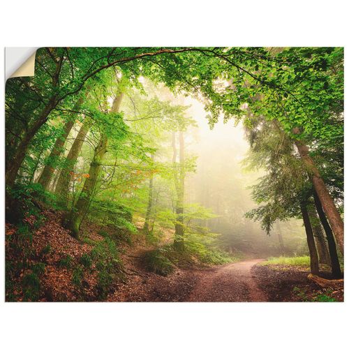 4057738318187 - Wandbild ARTLAND Natürliche Torbögen durch Bäume Bilder Gr B H 60 cm x 45 cm Wandaufkleber - Vinyl Wald Querformat 1 St grün Bild Poster Bilder als Alubild Leinwandbild Wandaufkleber oder in versch Größen 4057738318187 - Wandbild ARTLAND Natürliche Torbögen durch Bäume Bilder Gr B H 60 cm x 45 cm Wandaufkleber - Vinyl Wald Querformat 1 St grün Bild Poster Bilder als Alubild Leinwandbild Wandaufkleber oder in versch Größen