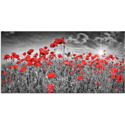 4058661952875 - Wandbild ARTLAND Idyllisches Mohnblumenfeld mit Sonne Bilder Gr B H 40 cm x 20 cm Alu-Dibond-Druck Blumen 1 St schwarz Bild Kunstdruck Kunstdrucke Bilder als Alubild Leinwandbild Wandaufkleber oder Poster in versch Größen 4058661952875 - Wandbild ARTLAND Idyllisches Mohnblumenfeld mit Sonne Bilder Gr B H 40 cm x 20 cm Alu-Dibond-Druck Blumen 1 St schwarz Bild Kunstdruck Kunstdrucke Bilder als Alubild Leinwandbild Wandaufkleber oder Poster in versch Größen
