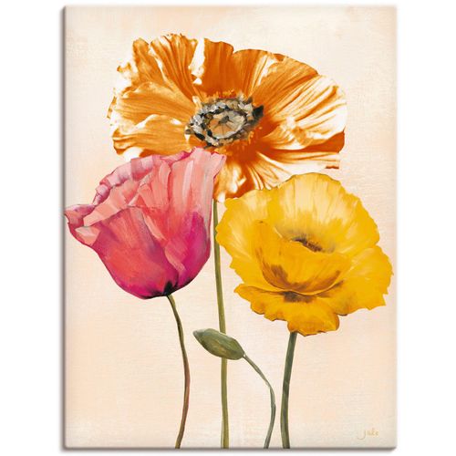 4055327155090 - Wandbild ARTLAND Bunte Mohnblumen II Bilder Gr B H 60 cm x 80 cm Leinwandbild Blumenbilder Hochformat 1 St bunt Kunstdrucke als Alubild Leinwandbild Wandaufkleber oder Poster in versch Größen 4055327155090 - Wandbild ARTLAND Bunte Mohnblumen II Bilder Gr B H 60 cm x 80 cm Leinwandbild Blumenbilder Hochformat 1 St bunt Kunstdrucke als Alubild Leinwandbild Wandaufkleber oder Poster in versch Größen
