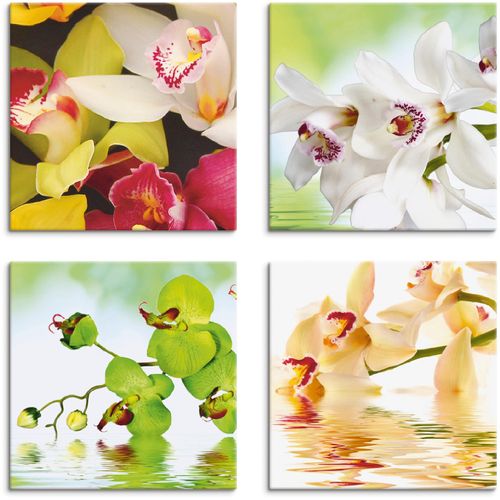 4062144353721 - Leinwandbild ARTLAND Orchideen Blumen Bilder Gr B H 30 cm x 30 cm Leinwandbild Blumen quadratisch 4 St bunt Bild Leinwandbild Leinwandbilder Bilder 4er Set verschiedene Größen