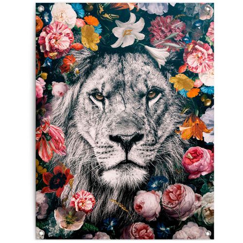 8714597628395 - Poster REINDERS Löwe bunt (farbe bild(er) bunt) B60cm H80cm T01cm Leinwand Bilder 8714597628395 - Poster REINDERS Löwe bunt (farbe bild(er) bunt) B60cm H80cm T01cm Leinwand Bilder