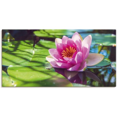 4062144620991 - Wandbild ARTLAND Seerose Nahaufnahme Bilder Gr B H 40 cm x 20 cm Leinwandbild Blumenbilder Querformat 1 St grün Kunstdrucke als Alubild Leinwandbild Wandaufkleber oder Poster in versch Größen 4062144620991 - Wandbild ARTLAND Seerose Nahaufnahme Bilder Gr B H 40 cm x 20 cm Leinwandbild Blumenbilder Querformat 1 St grün Kunstdrucke als Alubild Leinwandbild Wandaufkleber oder Poster in versch Größen