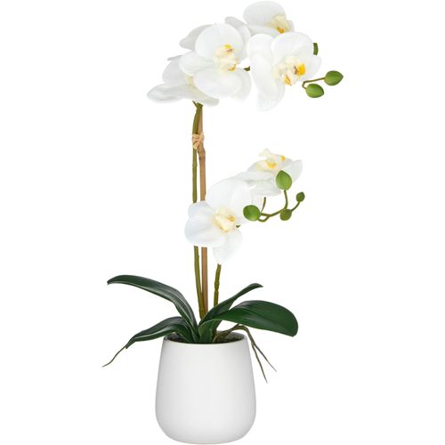 4064118325727 - Kunstorchidee CREATIV GREEN Orchidee Phalaenopsis weiß H50cm Kunststoff Kunstpflanzen mit dauerhafter Blütenpracht 4064118325727 - Kunstorchidee CREATIV GREEN Orchidee Phalaenopsis weiß H50cm Kunststoff Kunstpflanzen mit dauerhafter Blütenpracht