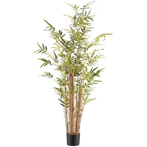 4064118241737 - Kunstbambus CREATIV GREEN Bambus vulgaris grün H150cm Kunststoff Kunstpflanzen mit Naturstamm 4064118241737 - Kunstbambus CREATIV GREEN Bambus vulgaris grün H150cm Kunststoff Kunstpflanzen mit Naturstamm