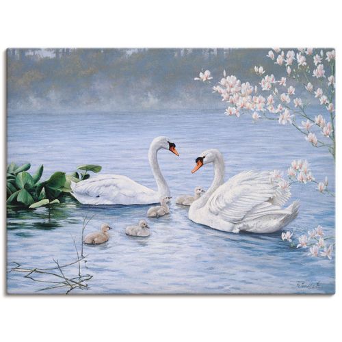 4055327486675 - Wandbild ARTLAND Stolze Schwanenfamilie Bilder Gr B H 40 cm x 30 cm Leinwandbild Vögel Querformat 1 St weiß Bild Leinwandbild Kunstdrucke Bilder als Leinwandbild Wandaufkleber oder Poster in versch Größen 4055327486675 - Wandbild ARTLAND Stolze Schwanenfamilie Bilder Gr B H 40 cm x 30 cm Leinwandbild Vögel Querformat 1 St weiß Bild Leinwandbild Kunstdrucke Bilder als Leinwandbild Wandaufkleber oder Poster in versch Größen