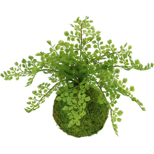 4019844802653 - Kunstpflanze IGEA Farnbusch auf Mooskugel grün B27cm H30cm L27cm Kunststoff Kunstpflanzen Künstliche Pflanze Waldfarn 4019844802653 - Kunstpflanze IGEA Farnbusch auf Mooskugel grün B27cm H30cm L27cm Kunststoff Kunstpflanzen Künstliche Pflanze Waldfarn
