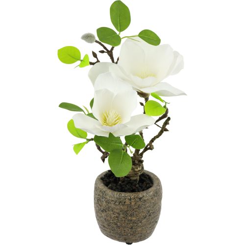 4019844810191 - Kunstblume IGEA Magnolie im Topf weiß B14cm H33cm L16cm Polyester Kunstpflanzen Künstlich wie echt Deko Blume Zimmerpflanze Baum klein Magnolienblüten