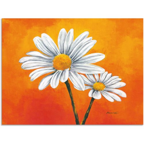4057738412120 - Wandbild ARTLAND Margeriten auf Orange Bilder Gr B H 80 cm x 60 cm Alu-Dibond-Druck Blumen 1 St orange Bild Poster Bilder als Alubild Leinwandbild Wandaufkleber oder in versch Größen 4057738412120 - Wandbild ARTLAND Margeriten auf Orange Bilder Gr B H 80 cm x 60 cm Alu-Dibond-Druck Blumen 1 St orange Bild Poster Bilder als Alubild Leinwandbild Wandaufkleber oder in versch Größen