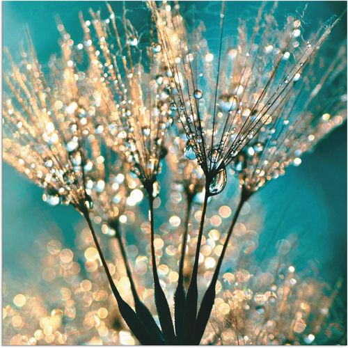 4058661285317 - Wandbild ARTLAND Pusteblume Schirmchen abstrakt Bilder Gr B H 40 cm x 40 cm Alu-Dibond-Druck Blumen 1 St blau Bild Kunstdruck Kunstdrucke Bilder als Alubild Leinwandbild Wandaufkleber oder Poster in versch Größen 4058661285317 - Wandbild ARTLAND Pusteblume Schirmchen abstrakt Bilder Gr B H 40 cm x 40 cm Alu-Dibond-Druck Blumen 1 St blau Bild Kunstdruck Kunstdrucke Bilder als Alubild Leinwandbild Wandaufkleber oder Poster in versch Größen
