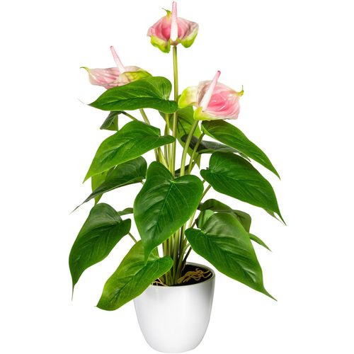 4064118840343 - Kunstpflanze MY HOME Haune Kunstpflanzen Gr B H 16 cm x 40 cm 1 St rosa Künstliche Zimmerpflanze Zimmerpflanzen im Topf 4064118840343 - Kunstpflanze MY HOME Haune Kunstpflanzen Gr B H 16 cm x 40 cm 1 St rosa Künstliche Zimmerpflanze Zimmerpflanzen im Topf