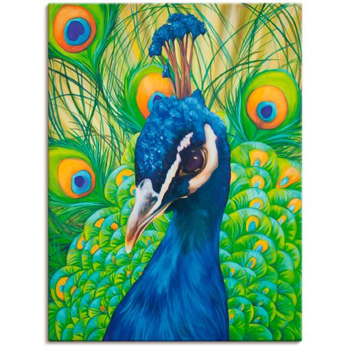 4059745945400 - Wandbild ARTLAND Pfau Bilder Gr B H 60 cm x 80 cm Leinwandbild Vögel 1 St blau Kunstdrucke Bilder als Alubild Leinwandbild Wandaufkleber oder Poster in versch Größen 4059745945400 - Wandbild ARTLAND Pfau Bilder Gr B H 60 cm x 80 cm Leinwandbild Vögel 1 St blau Kunstdrucke Bilder als Alubild Leinwandbild Wandaufkleber oder Poster in versch Größen