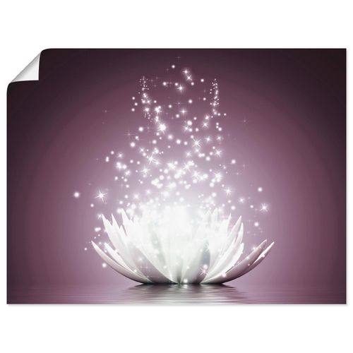 4055327787482 - Wandbild ARTLAND Magie der Lotus-Blume Bilder Gr B H 80 cm x 60 cm Poster Blumen Querformat 1 St lila Bild Leinwandbild Kunstdrucke Bilder als Leinwandbild Wandaufkleber oder Poster in versch Größen 4055327787482 - Wandbild ARTLAND Magie der Lotus-Blume Bilder Gr B H 80 cm x 60 cm Poster Blumen Querformat 1 St lila Bild Leinwandbild Kunstdrucke Bilder als Leinwandbild Wandaufkleber oder Poster in versch Größen